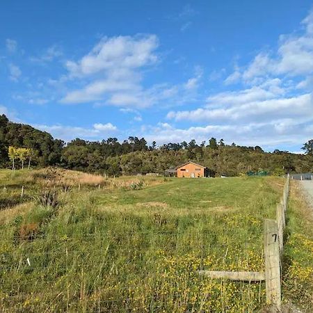 Enchanted Retreat In Greymouth Shared With Host Bagian luar foto